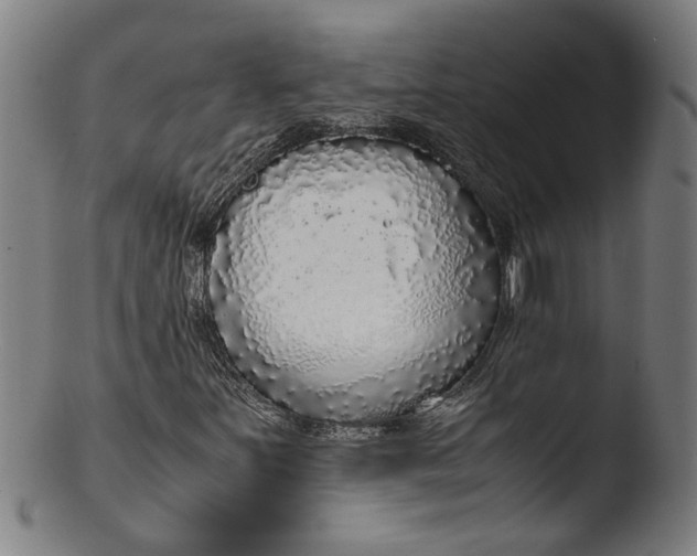 X0000103431251200809261722