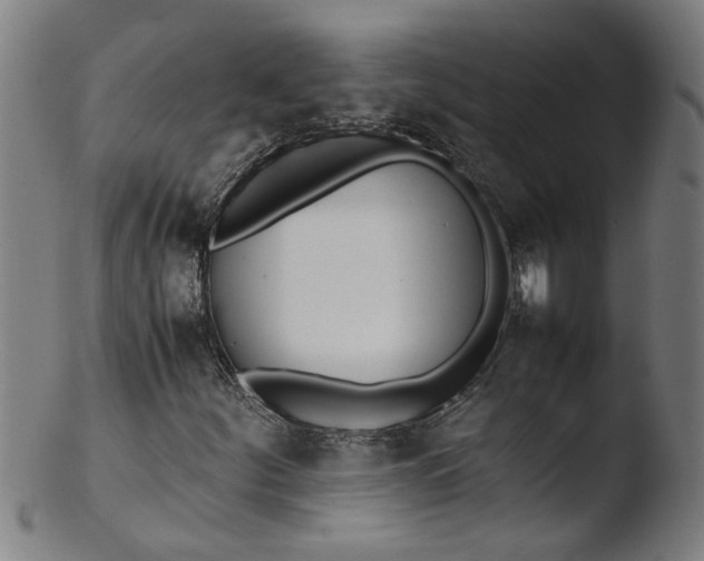 X0000103431252200809261722