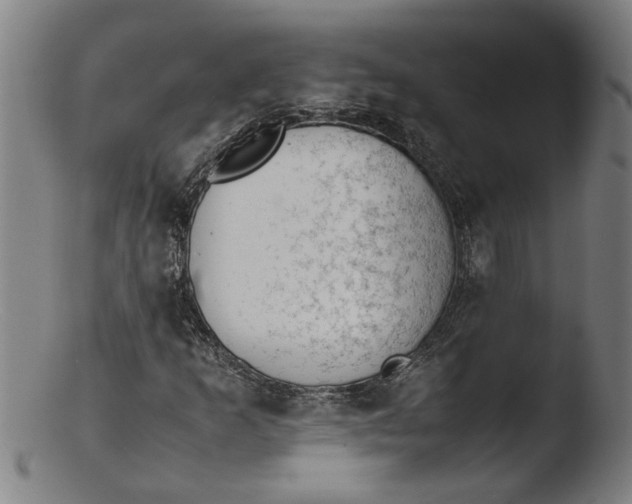 X0000103431253200809261722