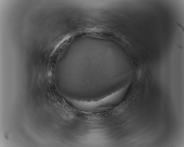 X0000103431254200809261722