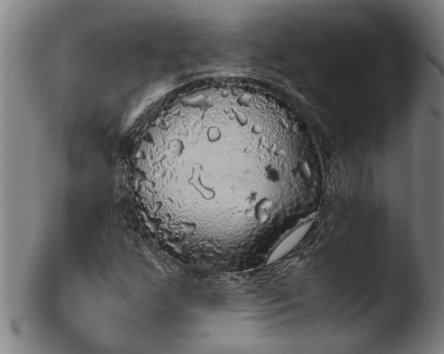 X0000103431255200809261722