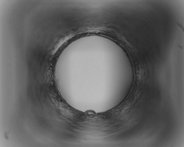 X0000103431256200809261722