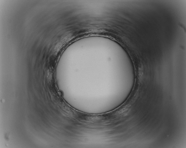 X0000103431257200809261722