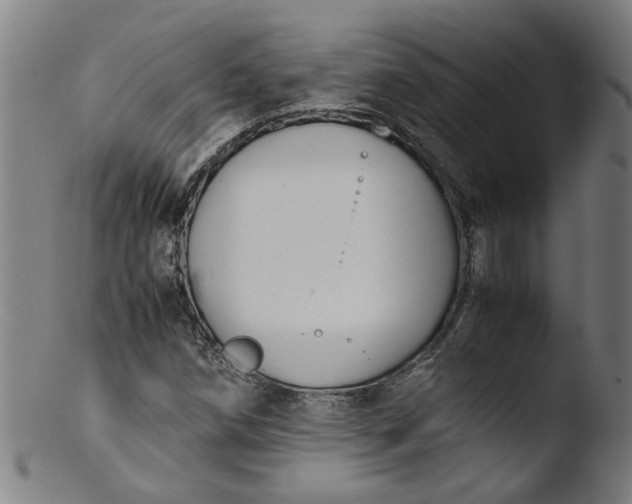 X0000103431258200809261722