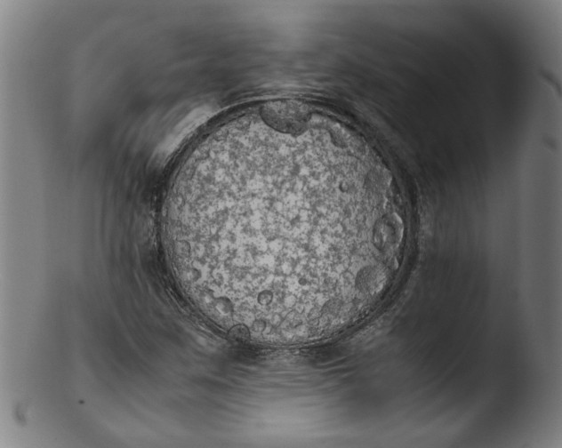 X0000103431259200809261722