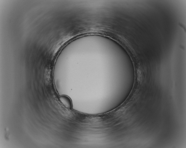 X0000103431260200809261722