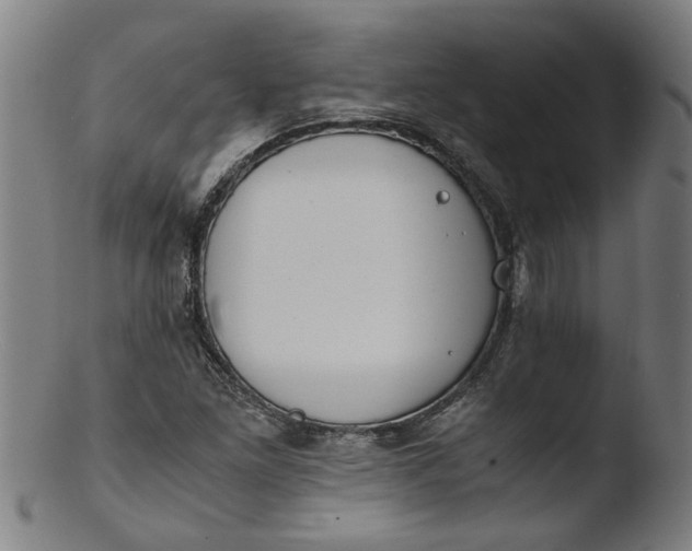 X0000103431261200809261722