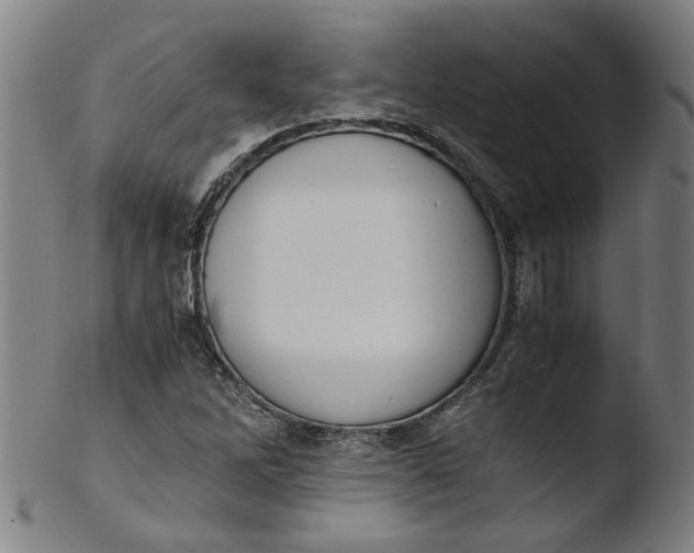 X0000103431262200809261722