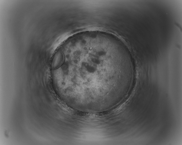 X0000103431263200809261722