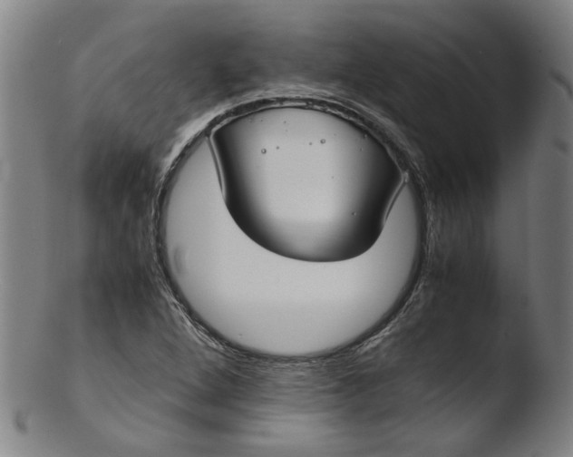 X0000103431264200809261722