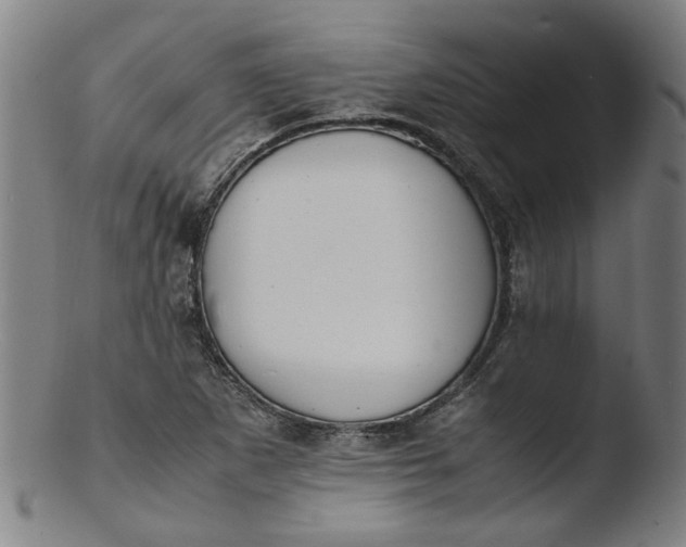 X0000103431265200809261722