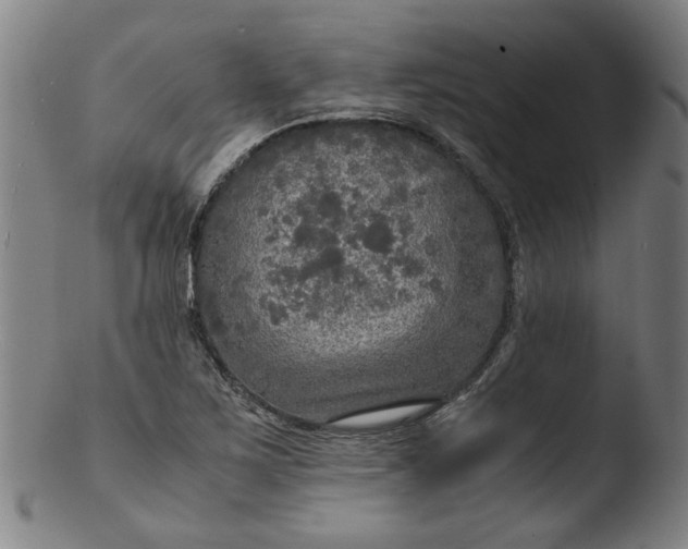 X0000103431267200809261722