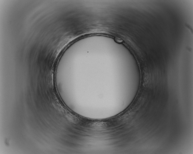 X0000103431268200809261722