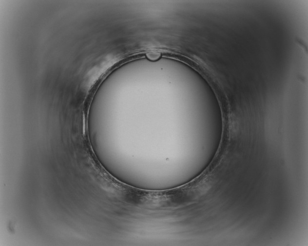 X0000103431269200809261722