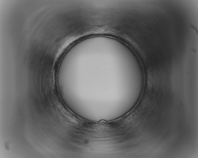 X0000103431270200809261722