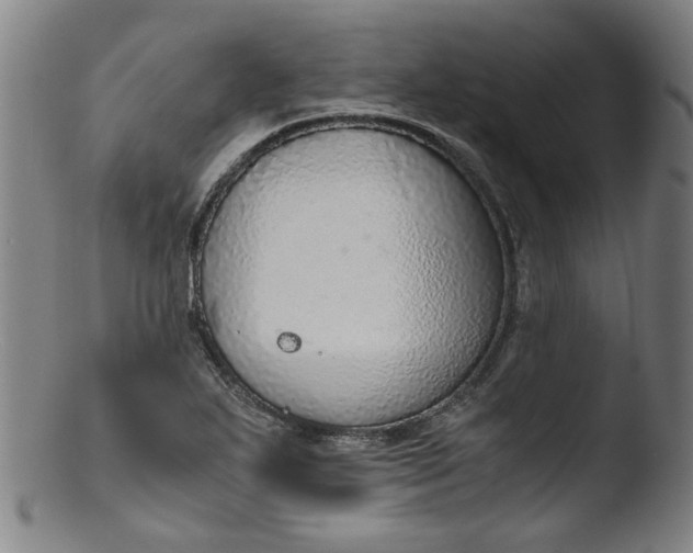 X0000103431271200809261722