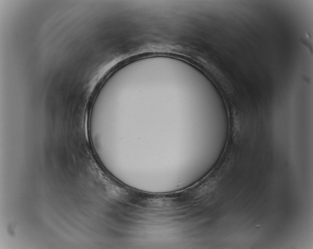 X0000103431272200809261722