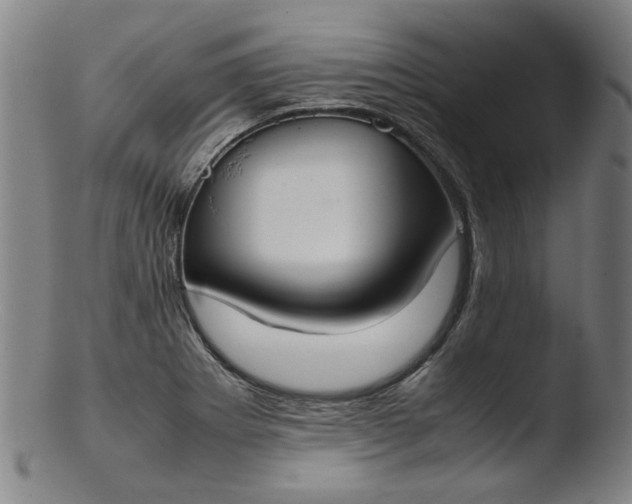 X0000103431273200809261722