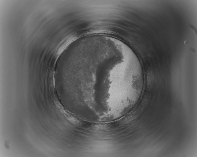 X0000103431274200809261722