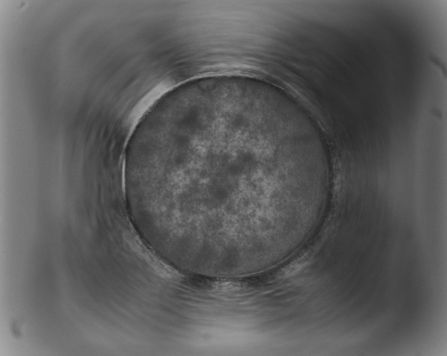 X0000103431275200809261722