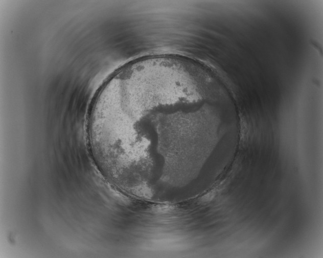 X0000103431278200809261722