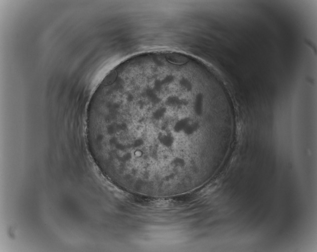 X0000103431279200809261722