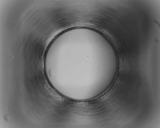 X0000103431280200809261722