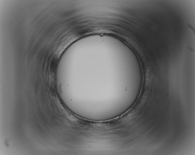 X0000103431281200809261722