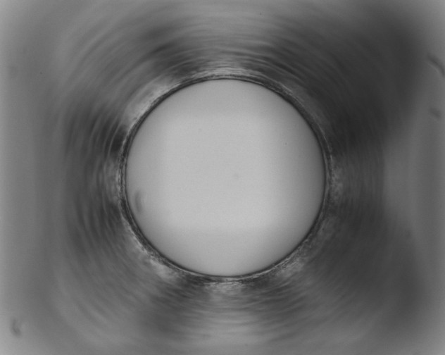 X0000103431282200809261722