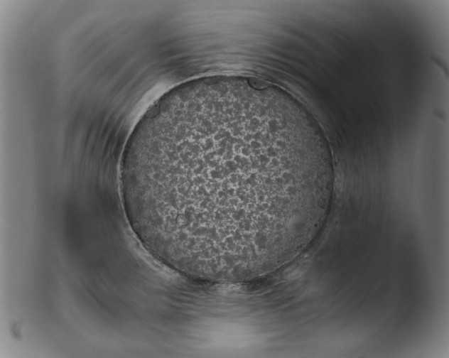 X0000103431283200809261722