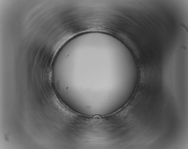 X0000103431284200809261722