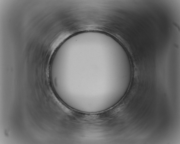 X0000103431285200809261722