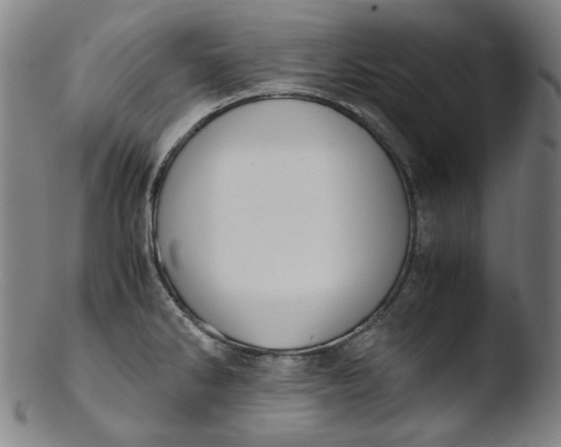 X0000103431286200809261722