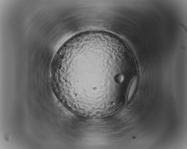 X0000103431287200809261722