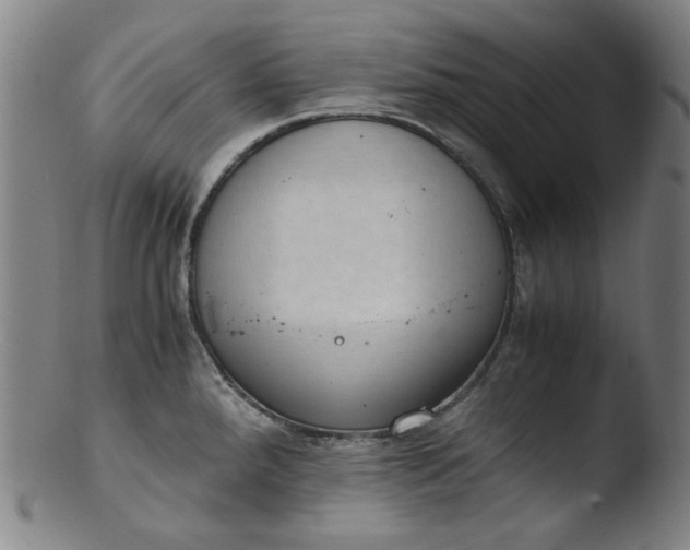 X0000103431288200809261722