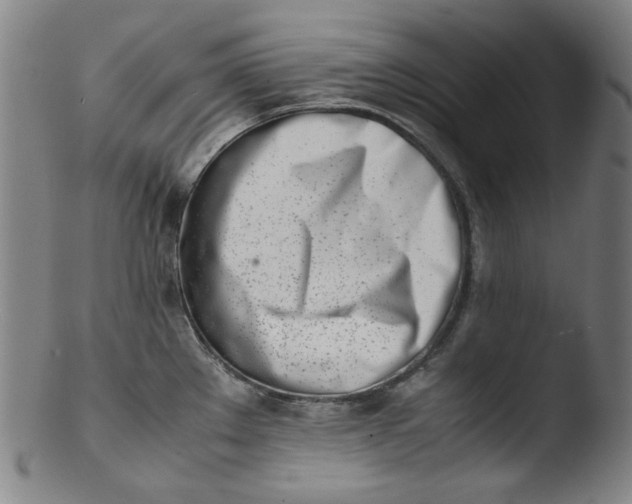 X0000103431289200809261722