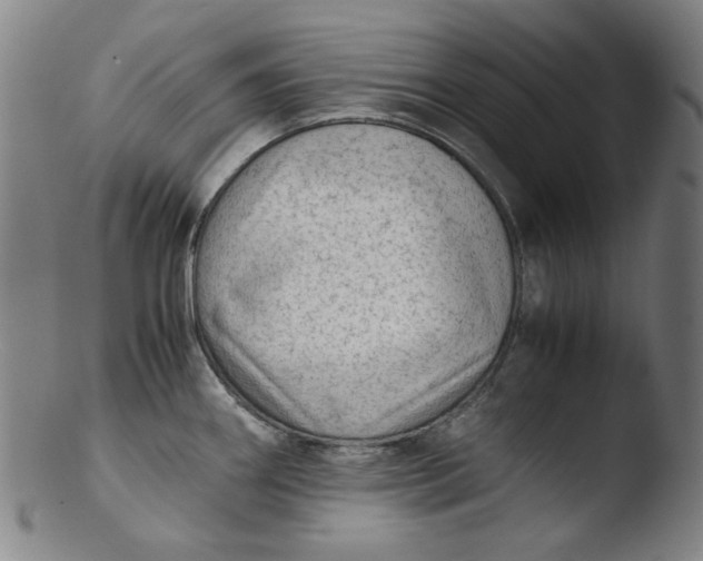 X0000103431290200809261722