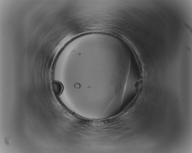 X0000103431291200809261722