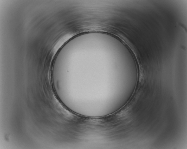 X0000103431293200809261722