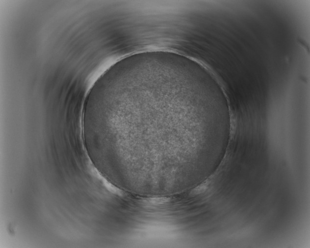 X0000103431294200809261722