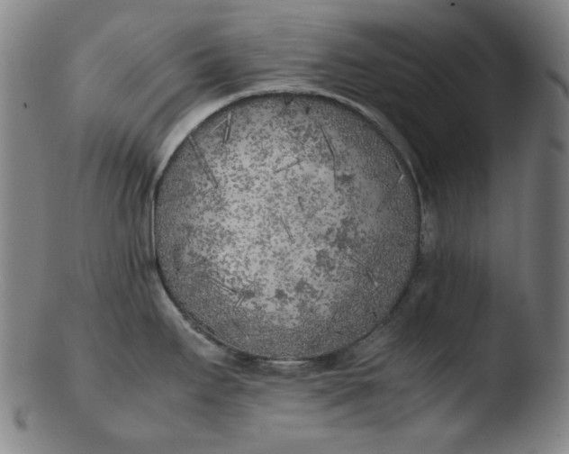 X0000103431295200809261722