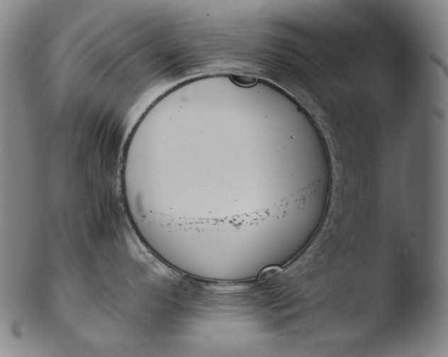 X0000103431296200809261722