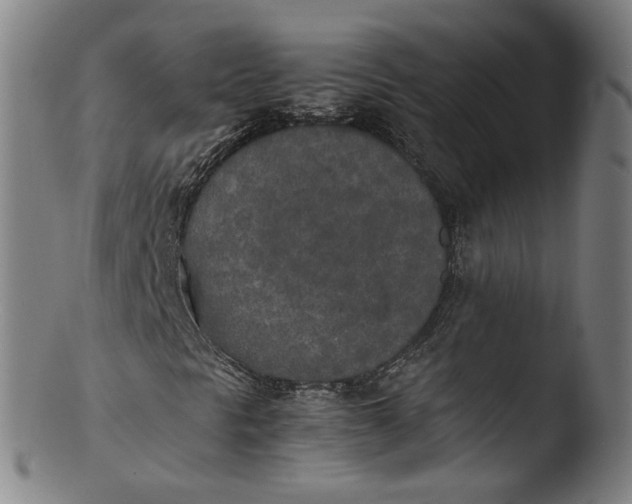 X0000103431297200809261721