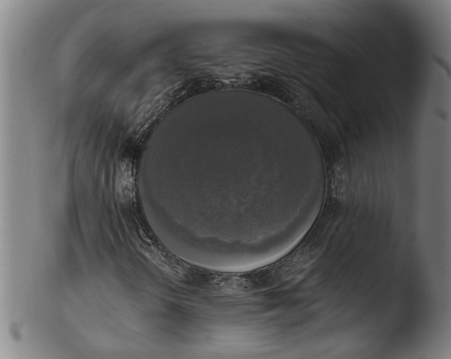 X0000103431298200809261721