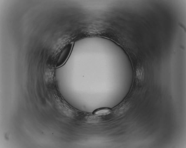 X0000103431300200809261721