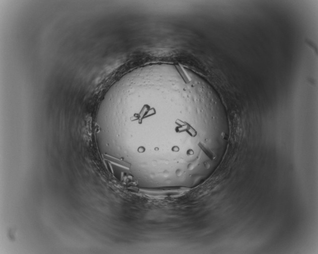 X0000103431301200809261721