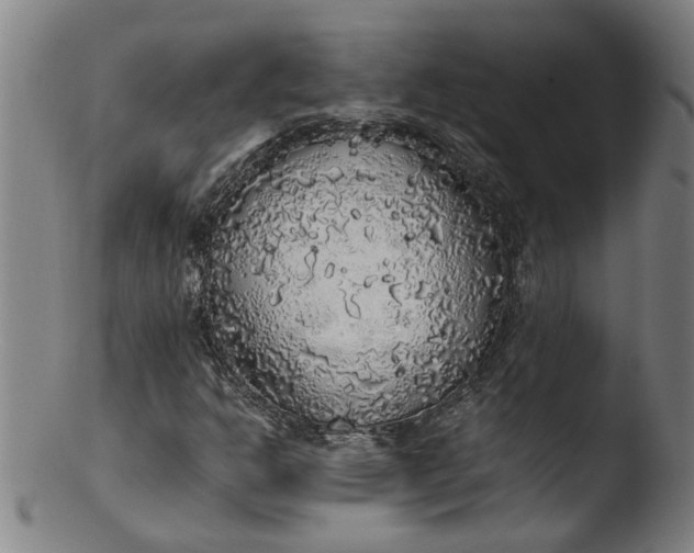 X0000103431302200809261721