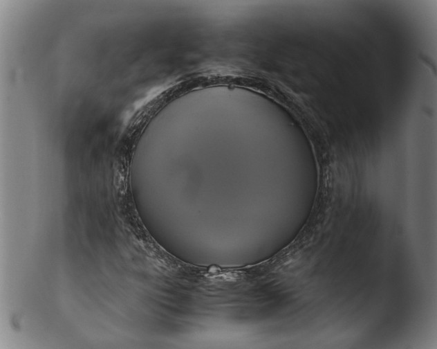 X0000103431303200809261721