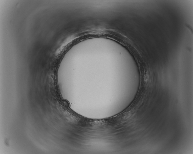 X0000103431304200809261721