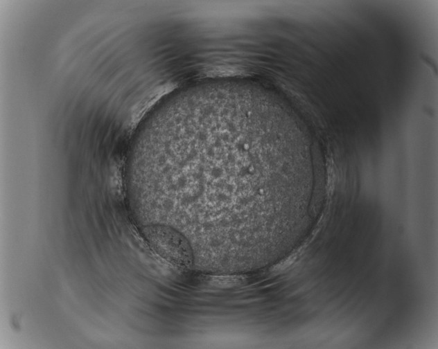 X0000103431305200809261721